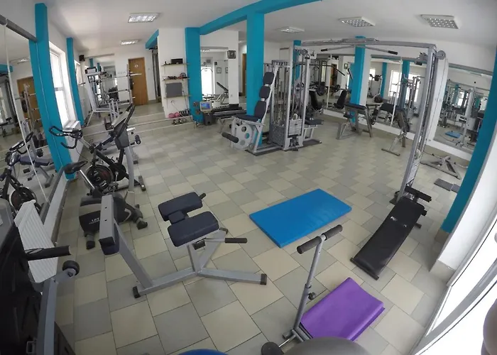 ,,vasa ,, 1 Apartament Soko Banja